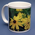 mug353 rudbeckia 0862